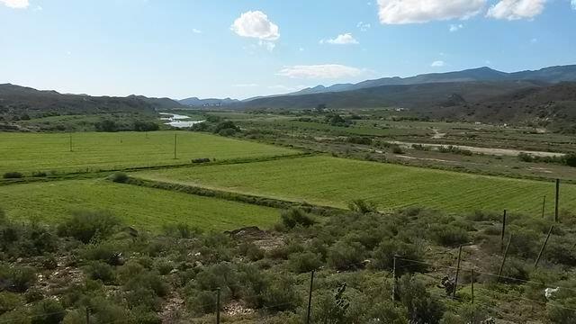 0 Bedroom Property for Sale in Ladismith Rural Western Cape